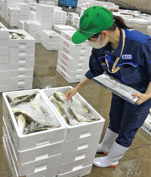 食品衛生監視員によるチェックの画像