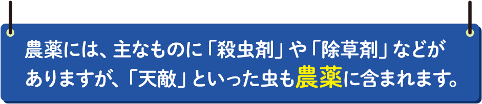 作り置きをするとき、濃いめの味付けのほうが保存性が高い傾向にあるんだよ。