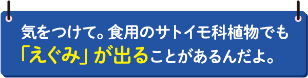 鑑札と注射済票の装着も飼い主の義務です！