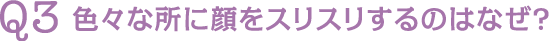 Q3 色々な所に顔をスリスリするのはなぜ?
