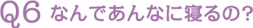 Q6 なんであんなに寝るの?